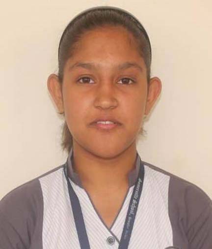 Somerville School - Best School In Greater Noida