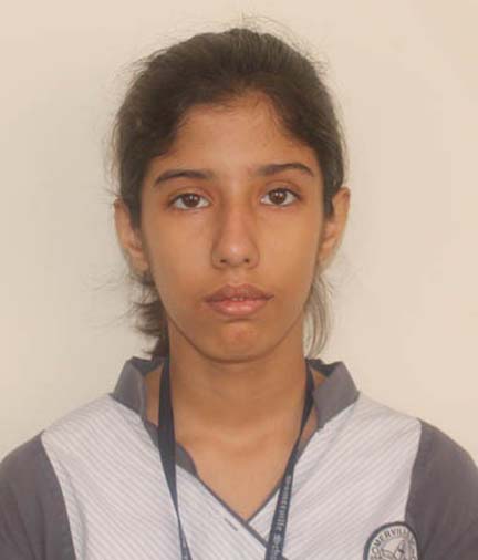 Somerville School - Best School In Greater Noida