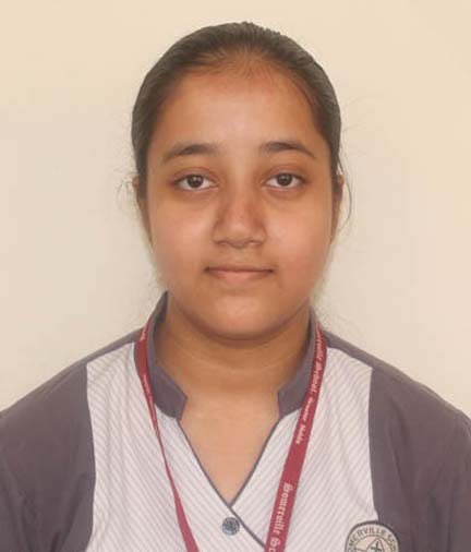 Somerville School - Best School In Greater Noida