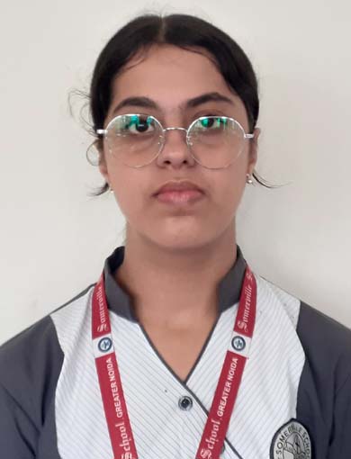 Somerville School - Best School In Greater Noida