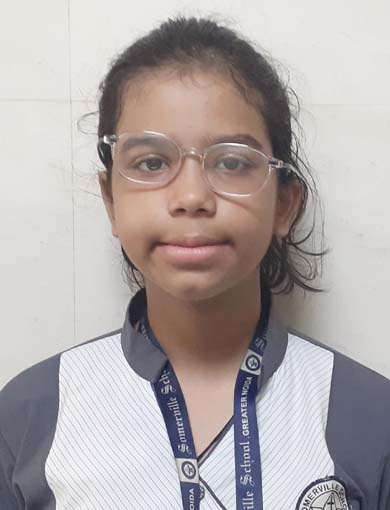 Somerville School - Best School In Greater Noida