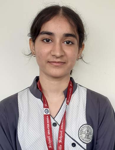 Somerville School - Best School In Greater Noida