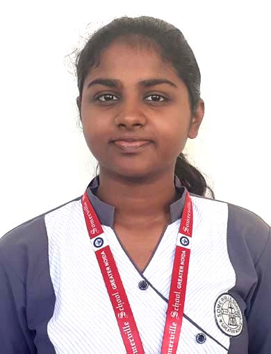 Somerville School - Best School In Greater Noida