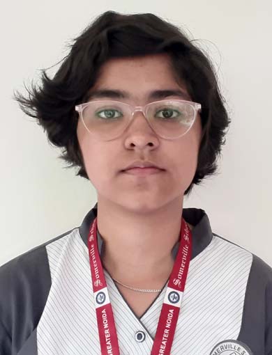 Somerville School - Best School In Greater Noida