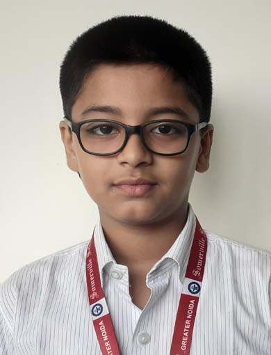 Somerville School - Best School In Greater Noida