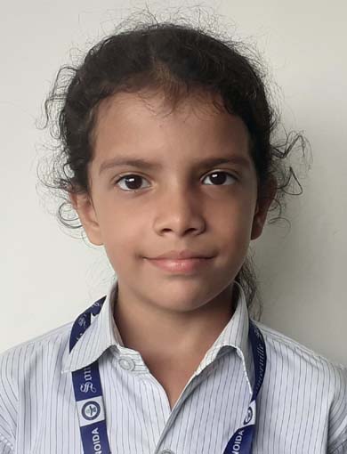 Somerville School - Best School In Greater Noida