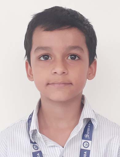 Somerville School - Best School In Greater Noida