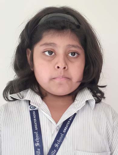 Somerville School - Best School In Greater Noida
