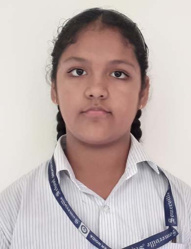 Somerville School - Best School In Greater Noida