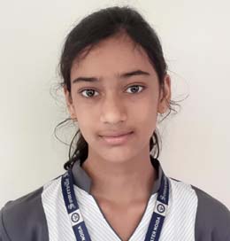 Somerville School - Best School In Greater Noida