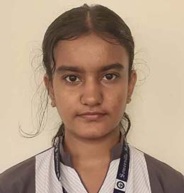 Somerville School - Best School In Greater Noida