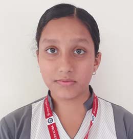 Somerville School - Best School In Greater Noida