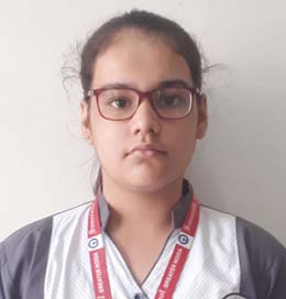 Somerville School - Best School In Greater Noida