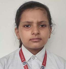Somerville School - Best School In Greater Noida