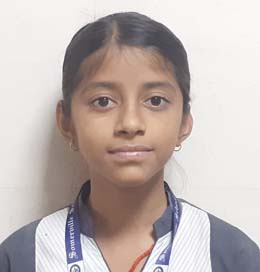 Somerville School - Best School In Greater Noida