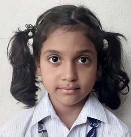 Somerville School - Best School In Greater Noida