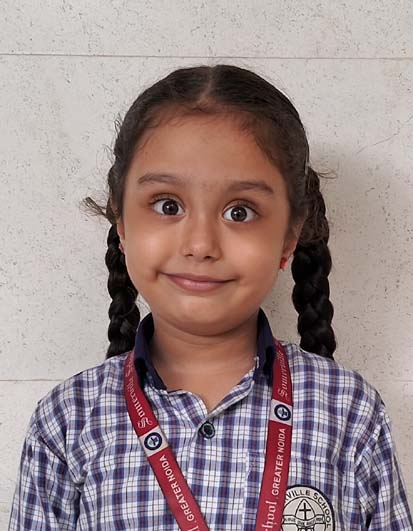 Somerville School - Best School In Greater Noida