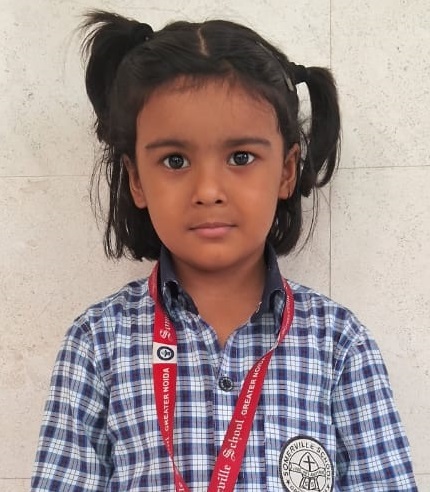 Somerville School - Best School In Greater Noida