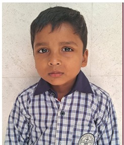 Somerville School - Best School In Greater Noida