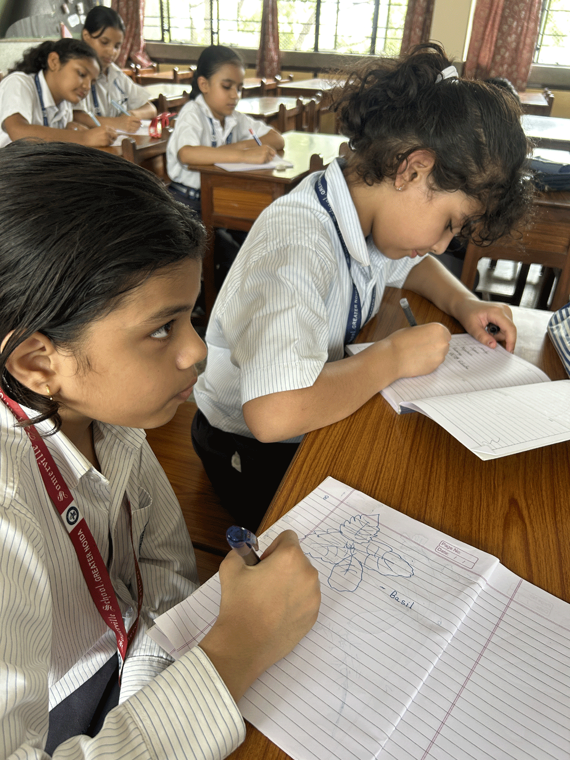Somerville School - Best School In Greater Noida