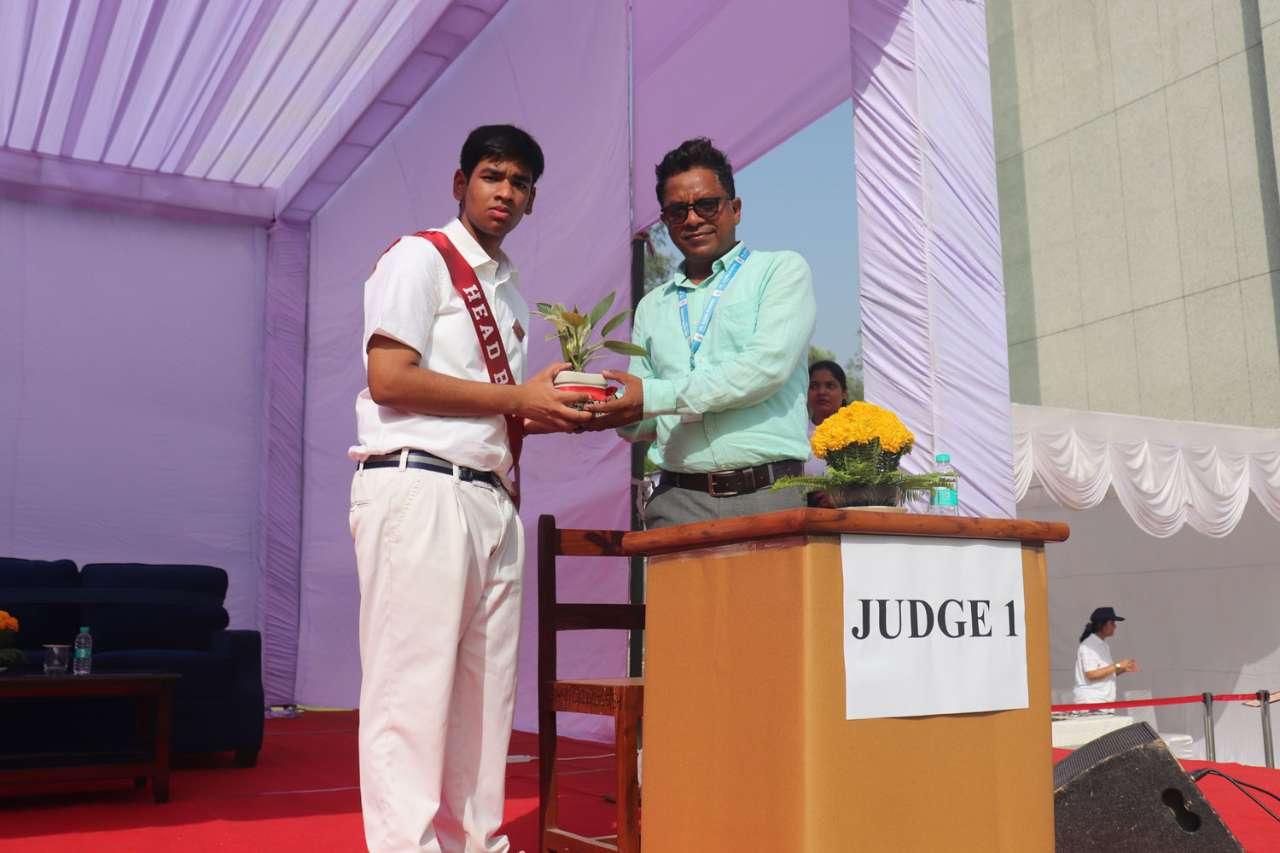 Somerville School - Best School In Greater Noida
