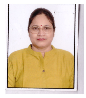 SPV Delhi