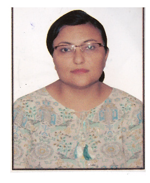 SPV Delhi