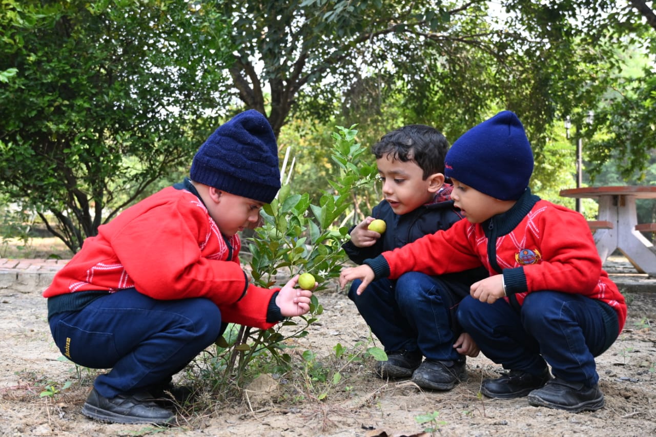 Best School In Annapurna
