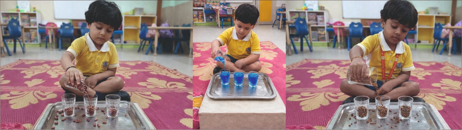 Best School In Annapurna