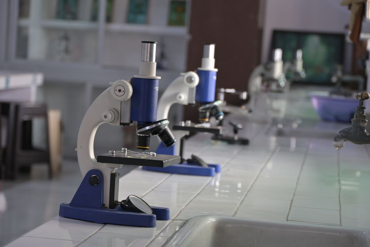 Best School In Bhagwanpur