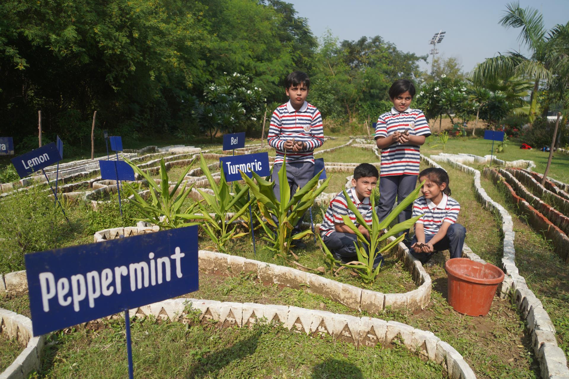 Best School In Suncity