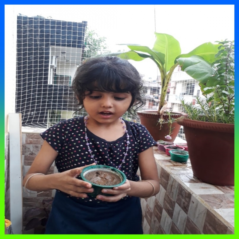 Best School in Indirapuram