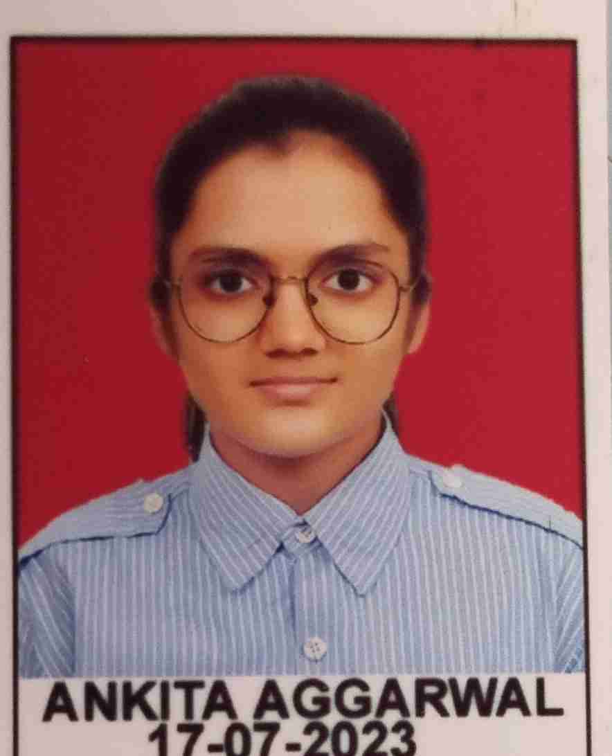 Ankita Aggarwal