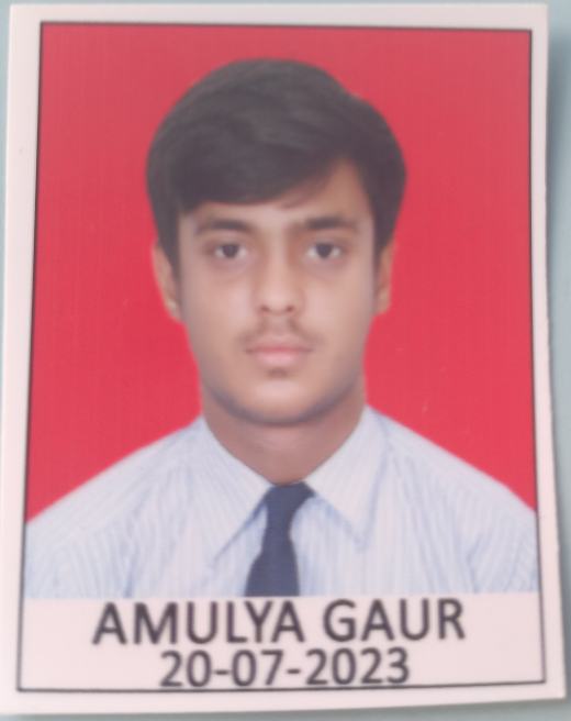 Amulya Gaur