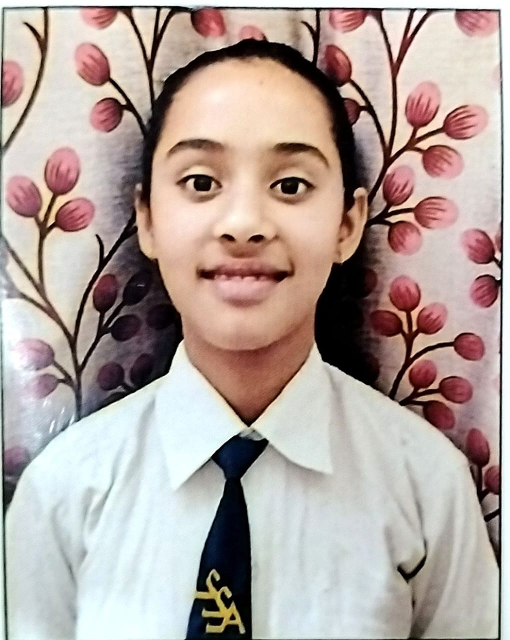 Delhi Public School Rudrapur