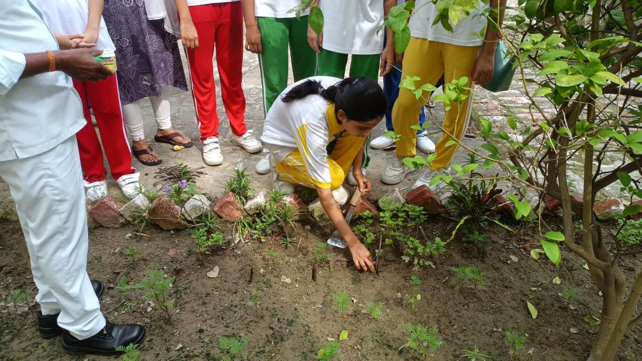 Best School in Tanda