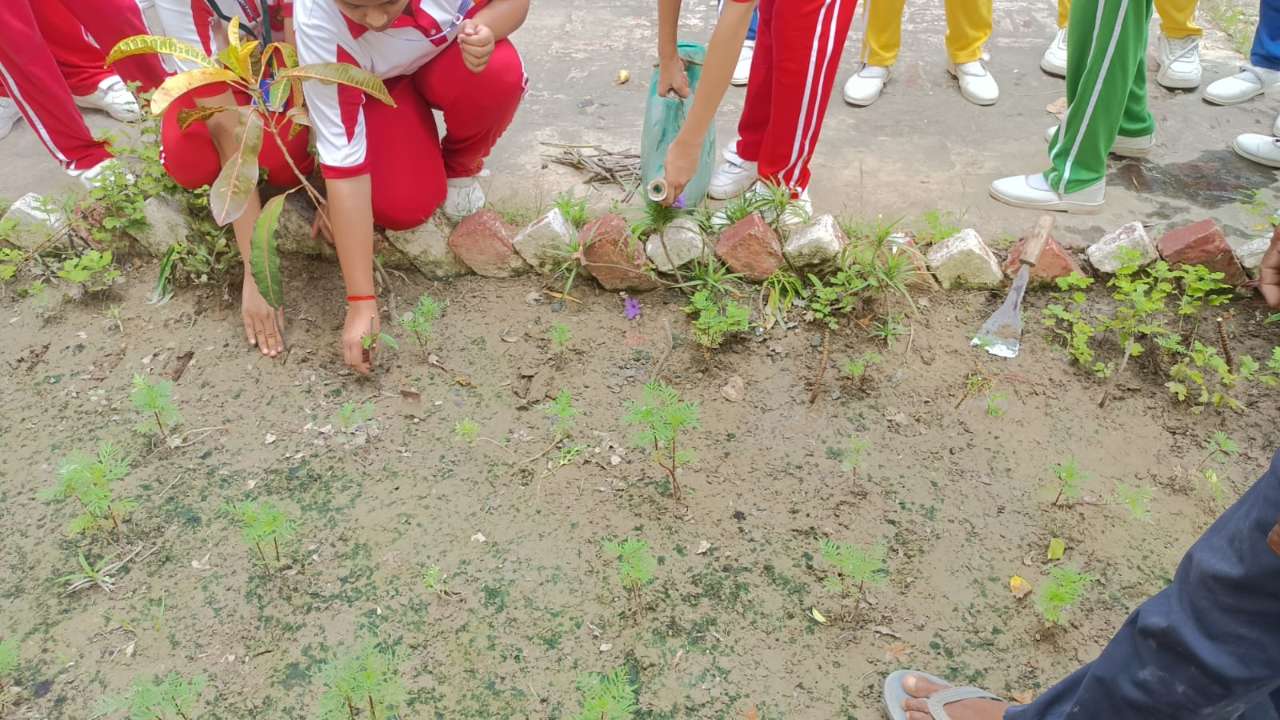 Best School in Tanda