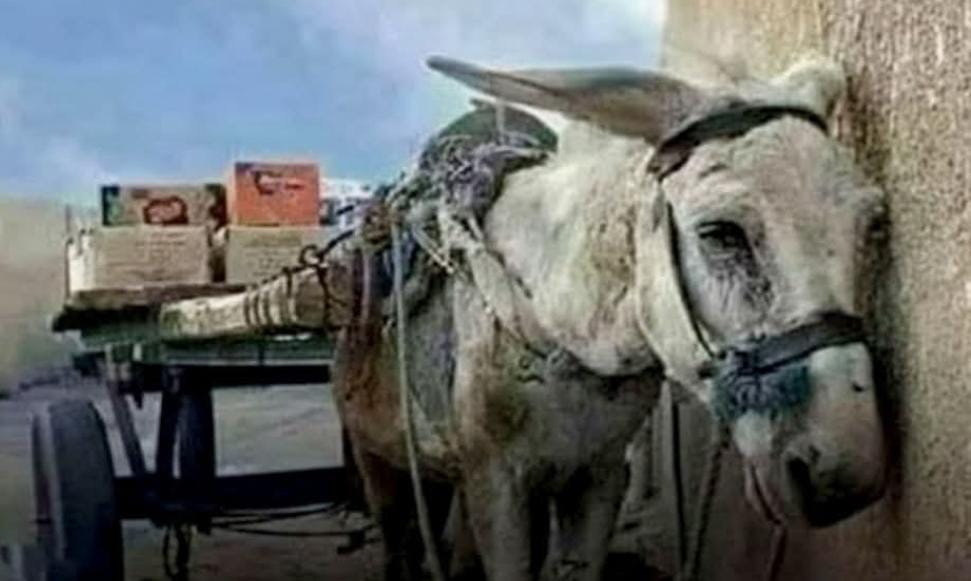 Swami Vivekanand Integration English School, Latur