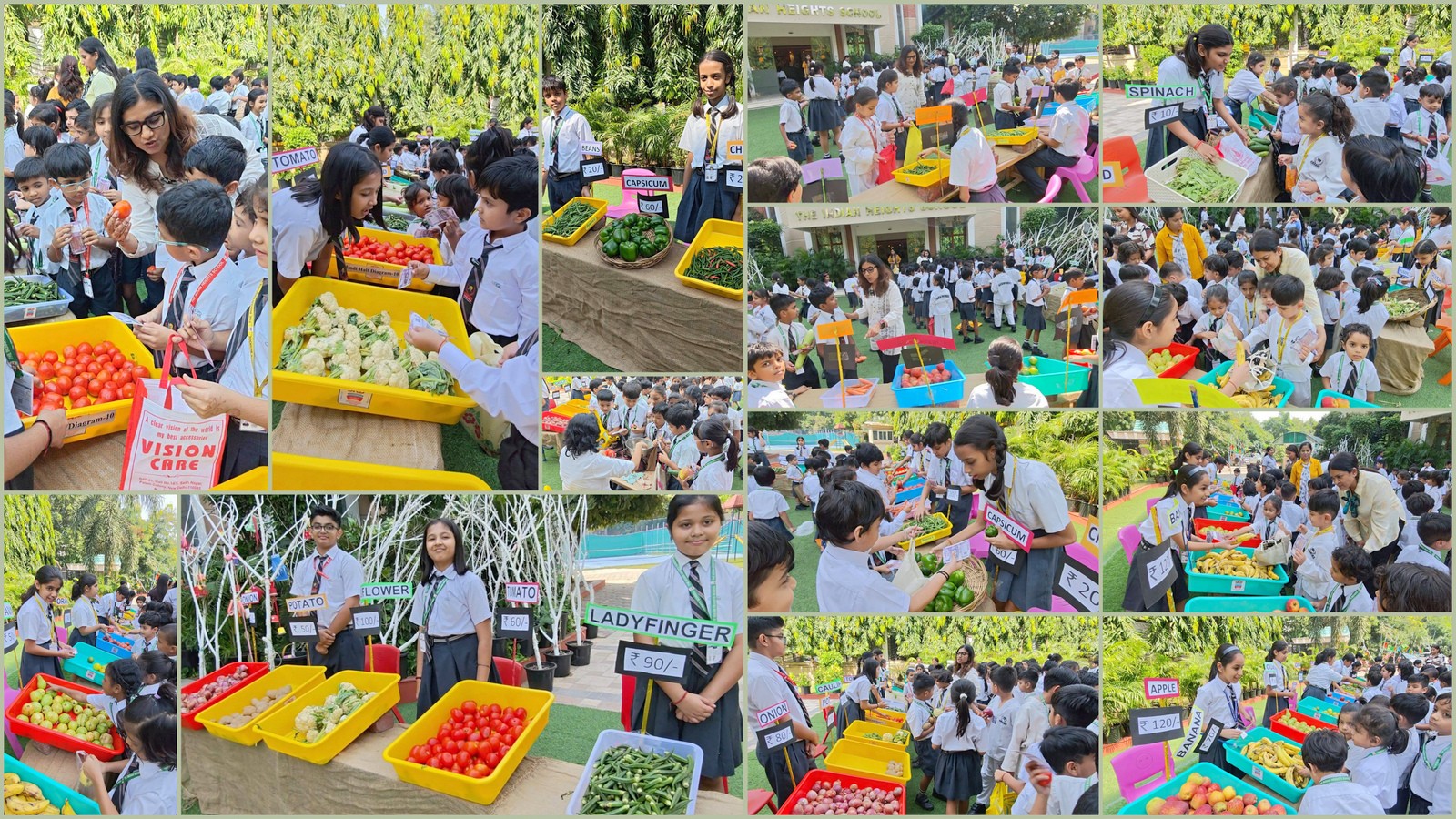 Indian Heights School