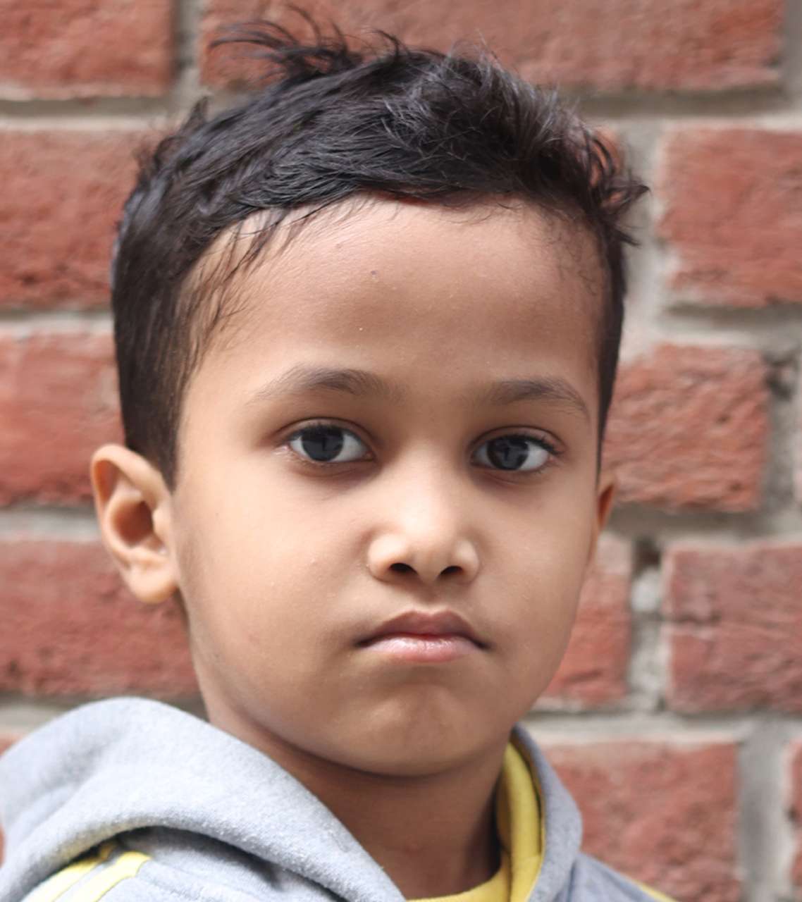 Vanasthali Public School